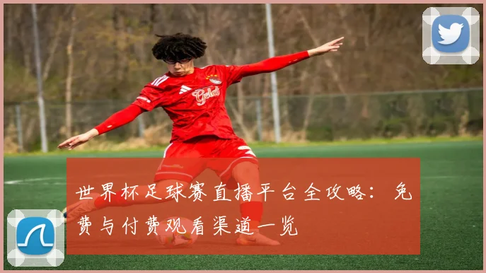世界杯足球赛直播平台全攻略:免费与付费观看渠道一览