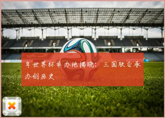 年世界杯举办地揭晓：三国联合承办创历史