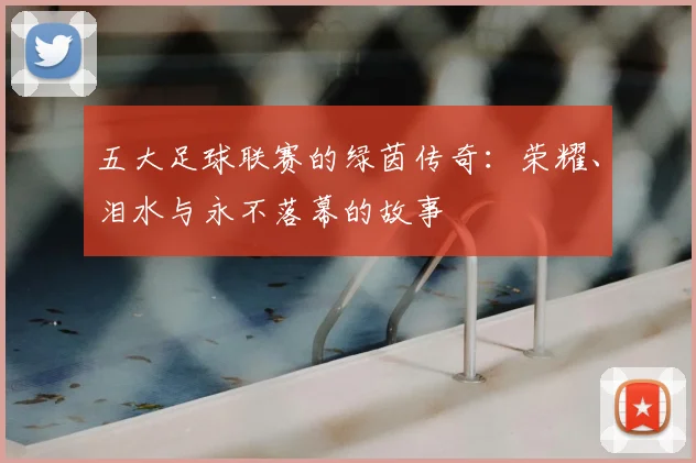五大足球联赛的绿茵传奇：荣耀、泪水与永不落幕的故事